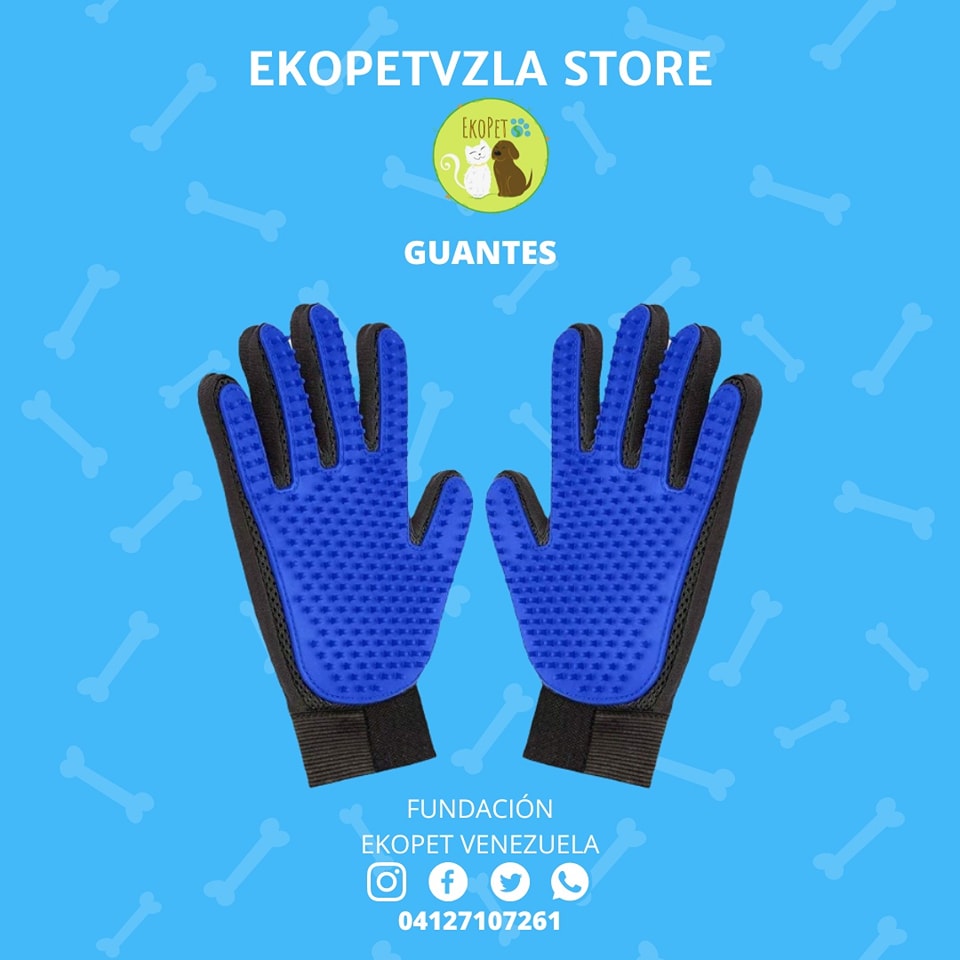 304864308_604599634705877_8321709450004554974_n