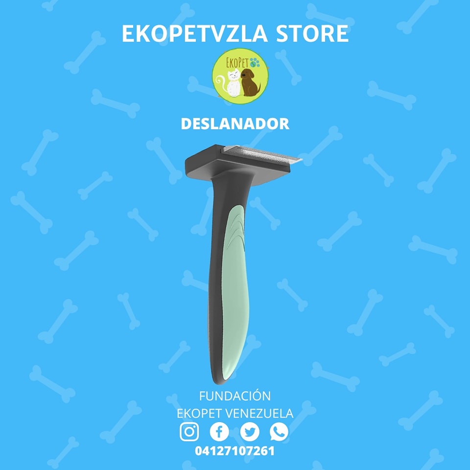 305937836_604599538039220_7401422690096432617_n